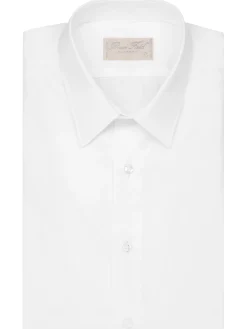 Chemise Alexian coupe classique pur coton Palma